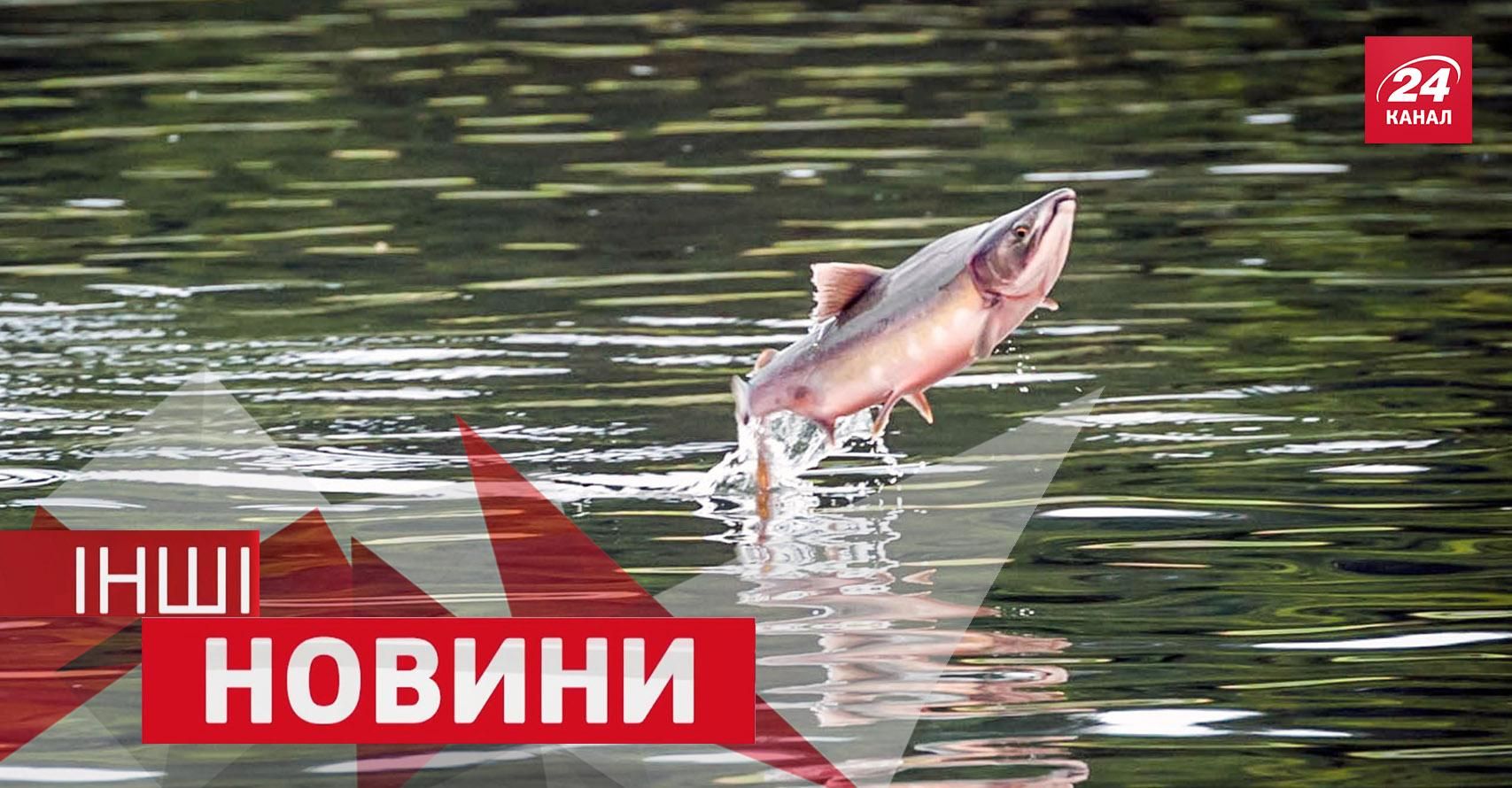 ДРУГИЕ Новости. Как разрушить стену силой голоса и почему рыба решила полетать ДРУГИЕ Новости. Как разрушить стену силой голоса и почему рыба решила полетать