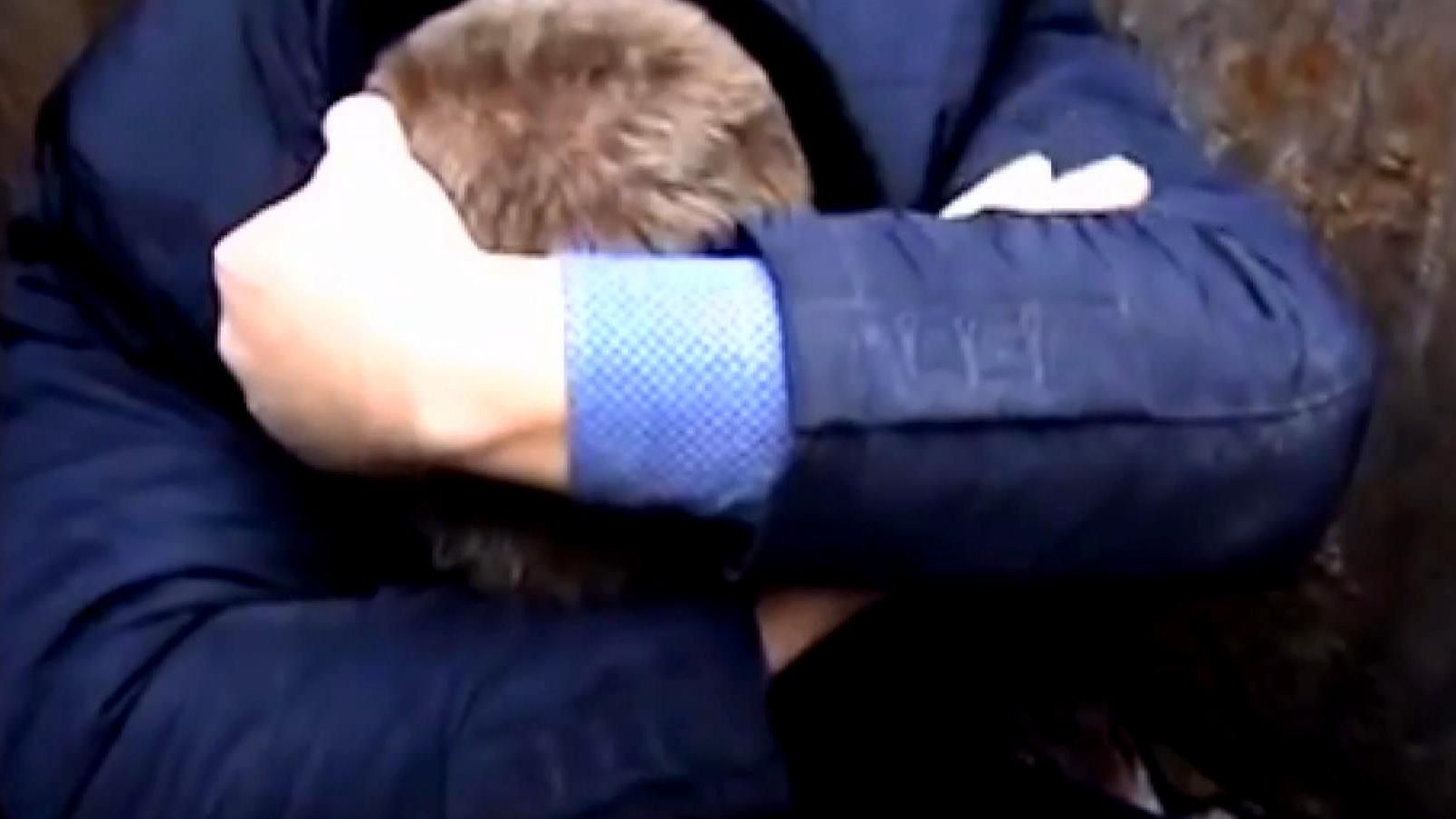 Під час "народної люстрації" у Рівному чиновник зізнався, що давав чималого хабаря Під час "народної люстрації" у Рівному чиновник зізнався, що давав чималого хабаря