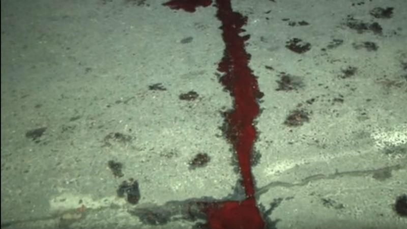 Поліцейський збив пішохода у Миколаєві