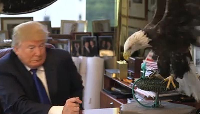 Дональда Трампа едва не заклевал раздражен орел: появилось видео
