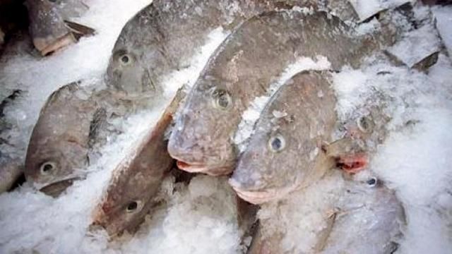 К террористам не доехала контрабандная рыба и энергетики К террористам не доехала контрабандная рыба и энергетики