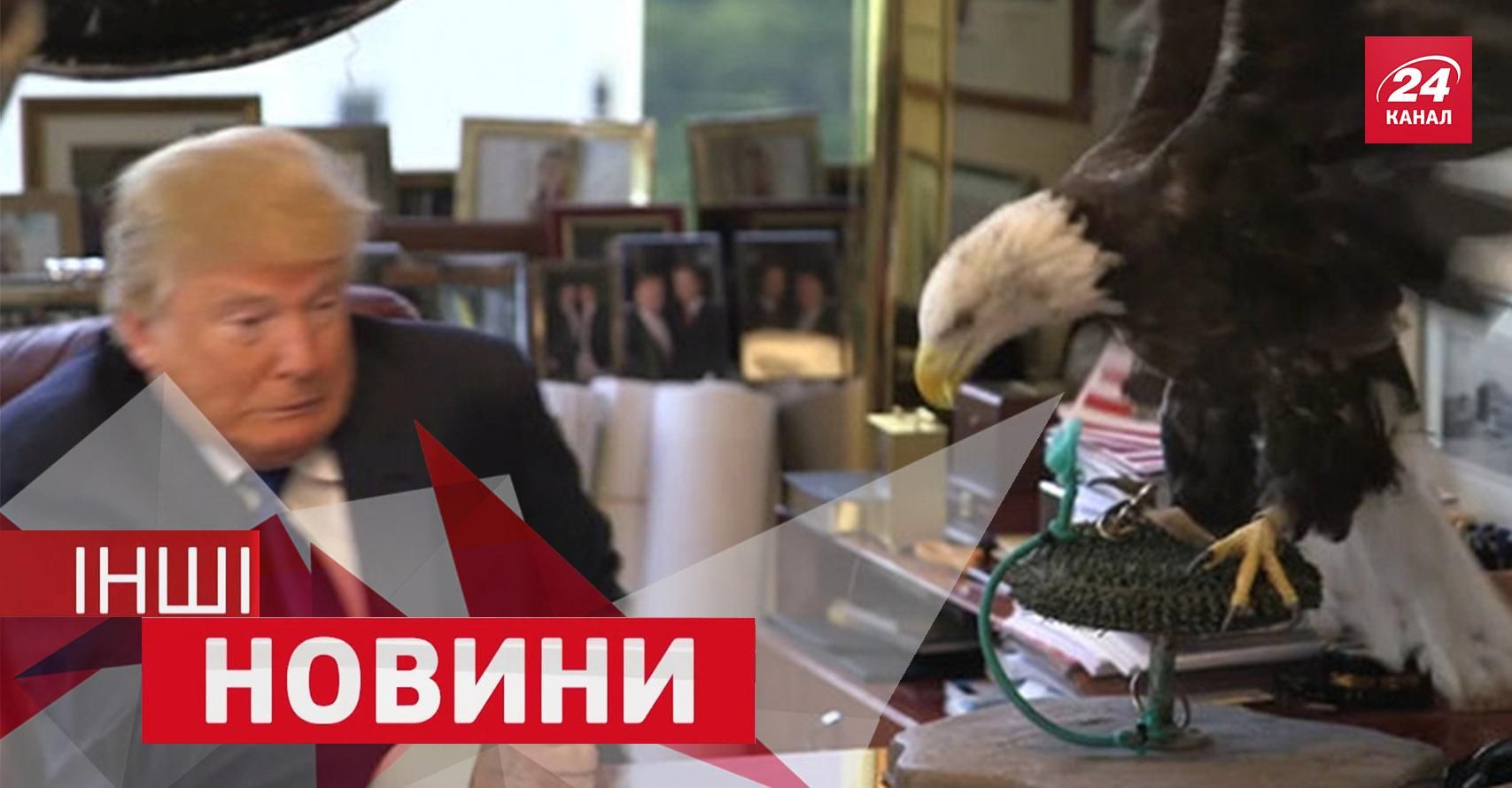 ДРУГИЕ Новости. Как орел побил американского миллиардера и варианты открывания пива ДРУГИЕ Новости. Как орел побил американского миллиардера и варианты открывания пива