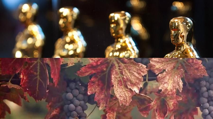 Які відомі зірки стали майстрами одного із найдавніших ремесел на землі Які відомі зірки стали майстрами одного із найдавніших ремесел на землі