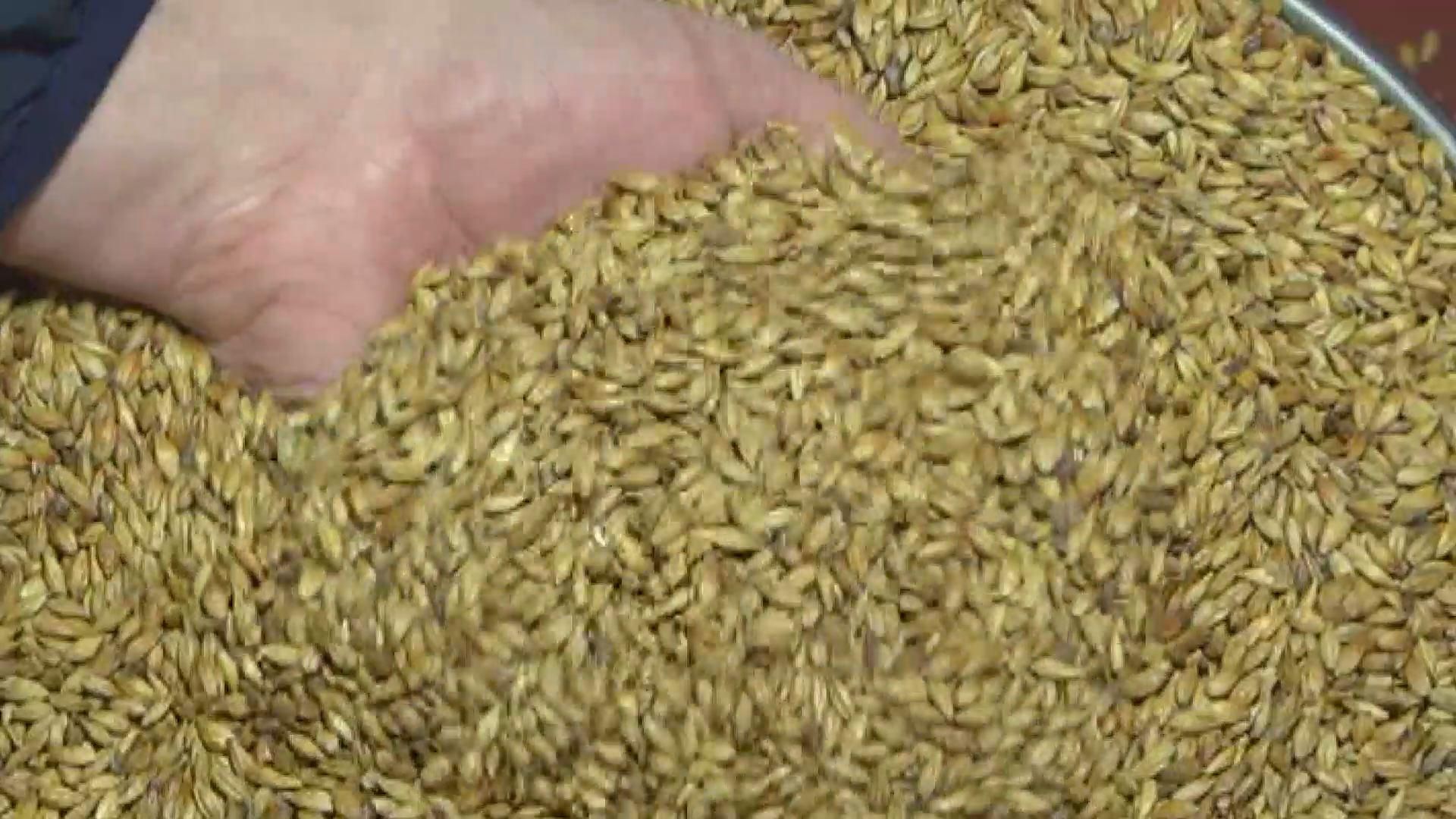 К Новому году производители удивят украинцев новинками К Новому году производители удивят украинцев новинками