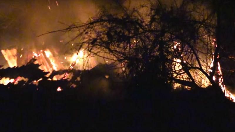 Появилось видео "адских" обстрелов окрестностей Марьинки Появилось видео "адских" обстрелов окрестностей Марьинки