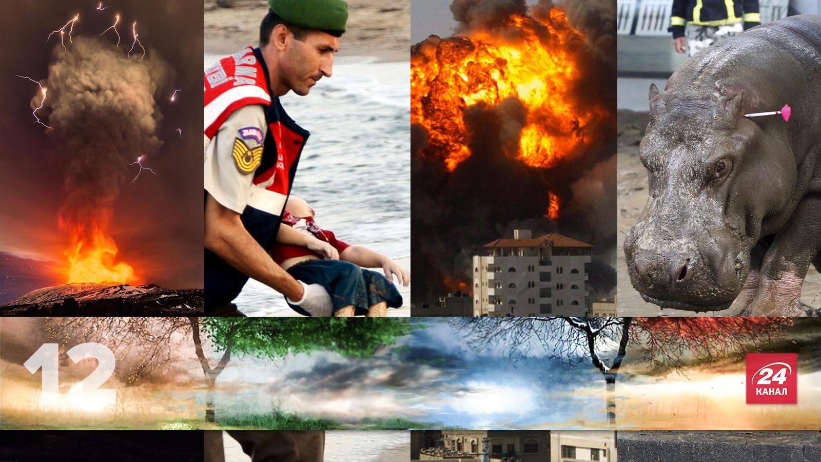 12 знаковых фото года, которые потрясли мир 12 знаковых фото года, которые потрясли мир