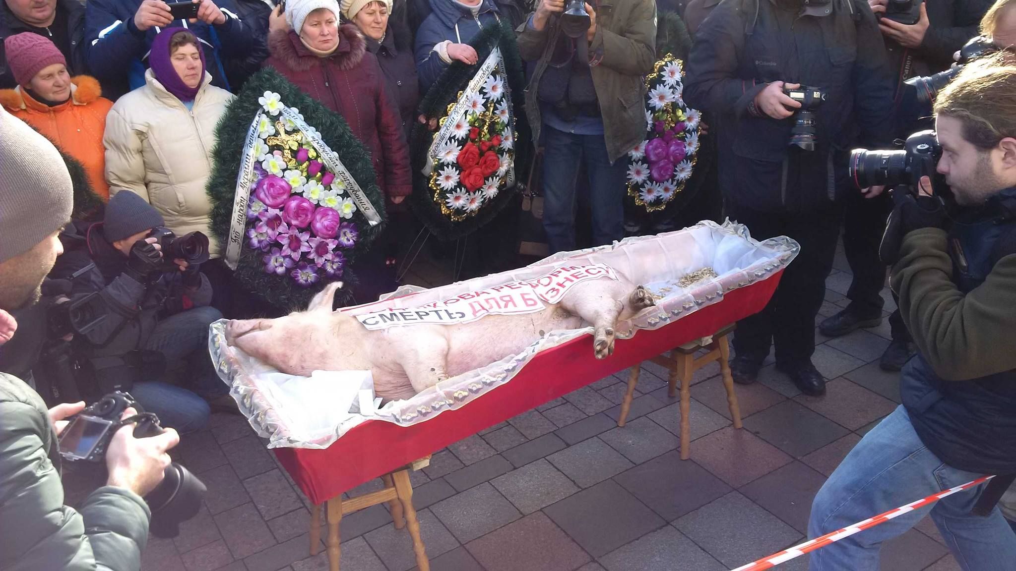 Протест під Радою: туша свині та правоохоронці в повній амуніції. ВІДЕО