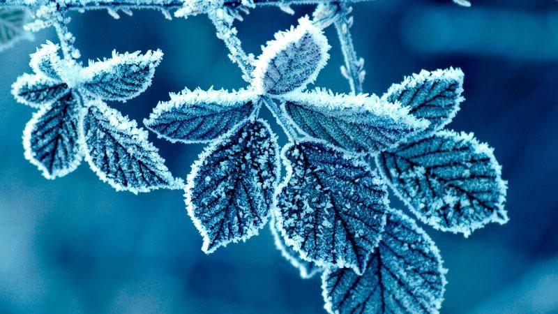 Під Новий рік в Україну прийде 17-градусний мороз
