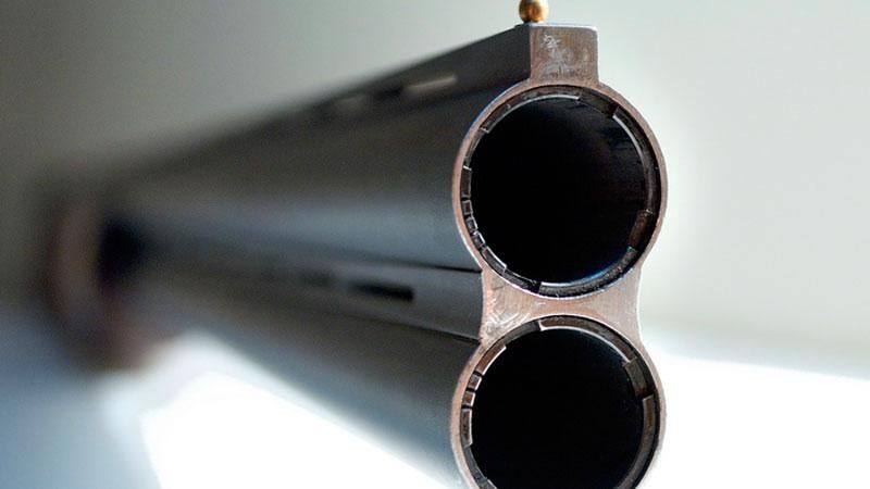 Депутат відкрив стрілянину на Запоріжжі Депутат відкрив стрілянину на Запоріжжі