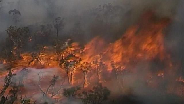 Більше 50 будинків знищила пожежа на півдні Австралії
