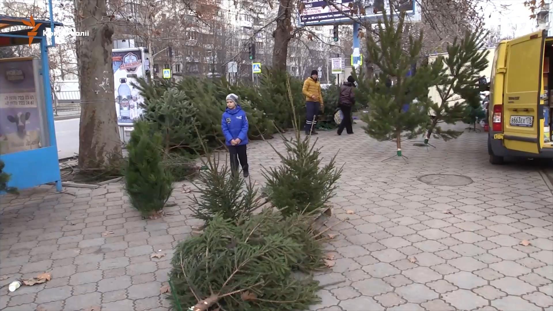 Крымчане возмущаются стоимостью елок на оккупированном полуострове