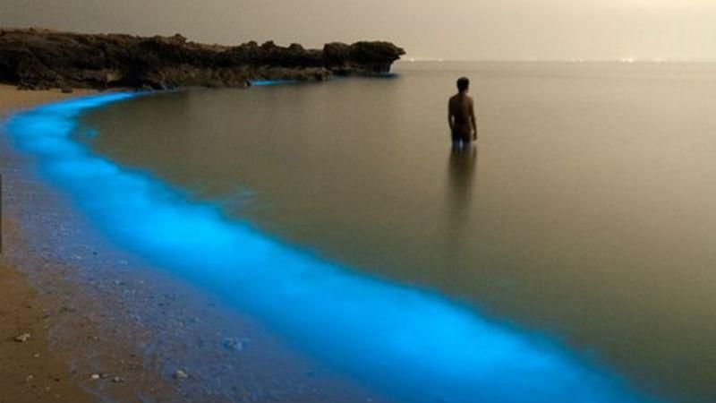 Самые эффектные фото года по версии National Geographic Самые эффектные фото года по версии National Geographic