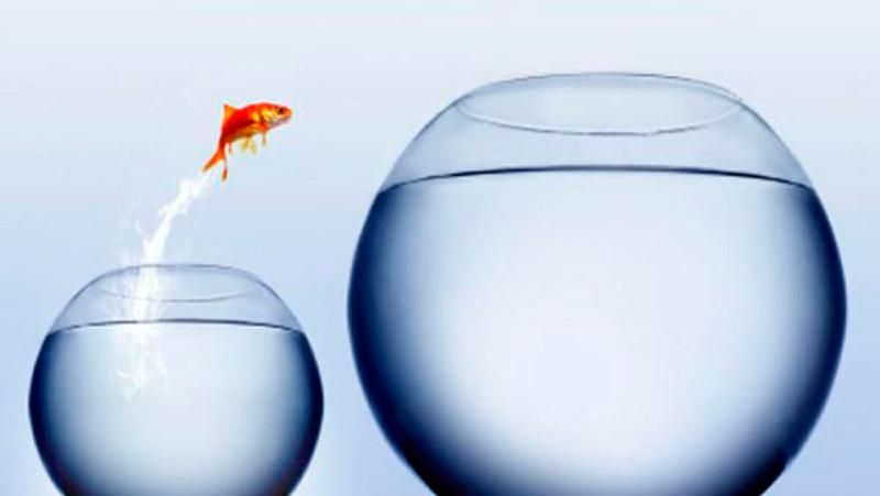 Продажи водки "Родная Роса" растут Продажи водки "Родная Роса" растут