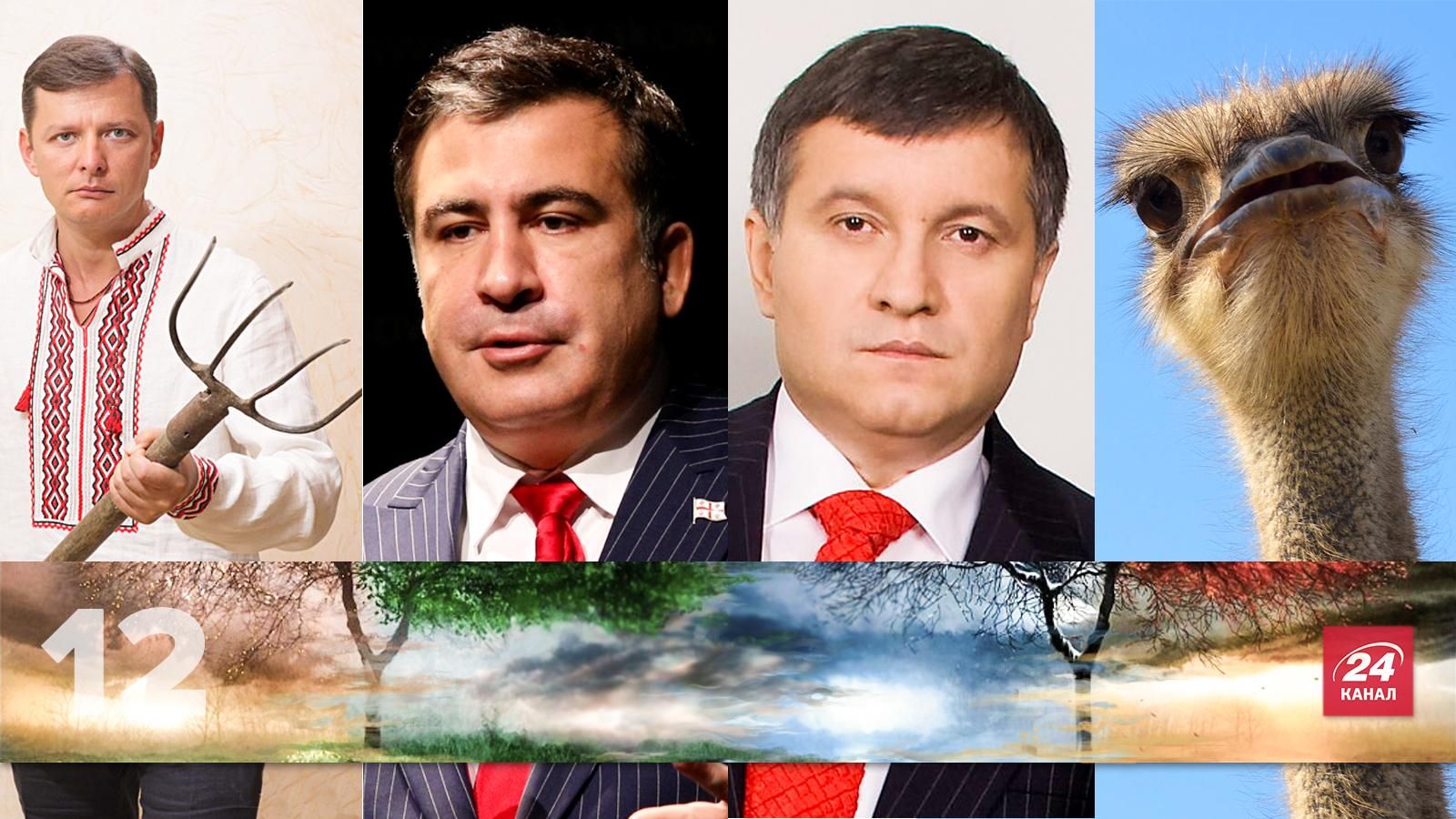 12 эпических цитат, которые больше всего запомнились в 2015 году 12 эпических цитат, которые больше всего запомнились в 2015 году