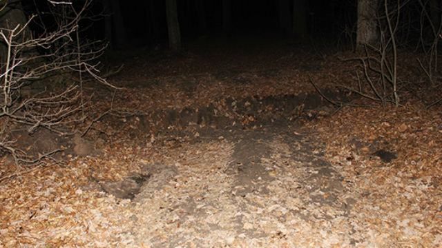 У Хмельницькому жорстоко побили і викрали іноземця У Хмельницькому жорстоко побили і викрали іноземця