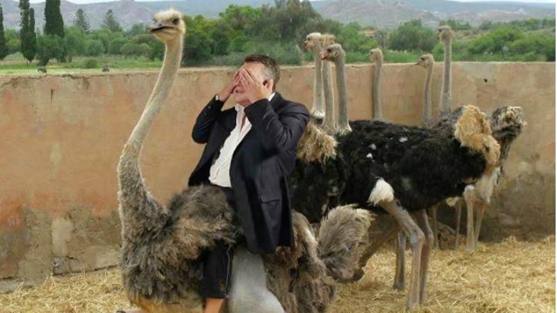 2015 год в мемах: вы точно будете смеяться 2015 год в мемах: вы точно будете смеяться