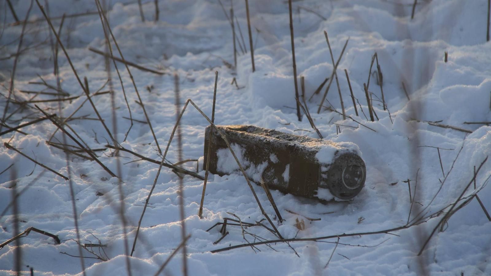 Украинские саперы нашли запрещенные "российские подарки" под Светлодарском