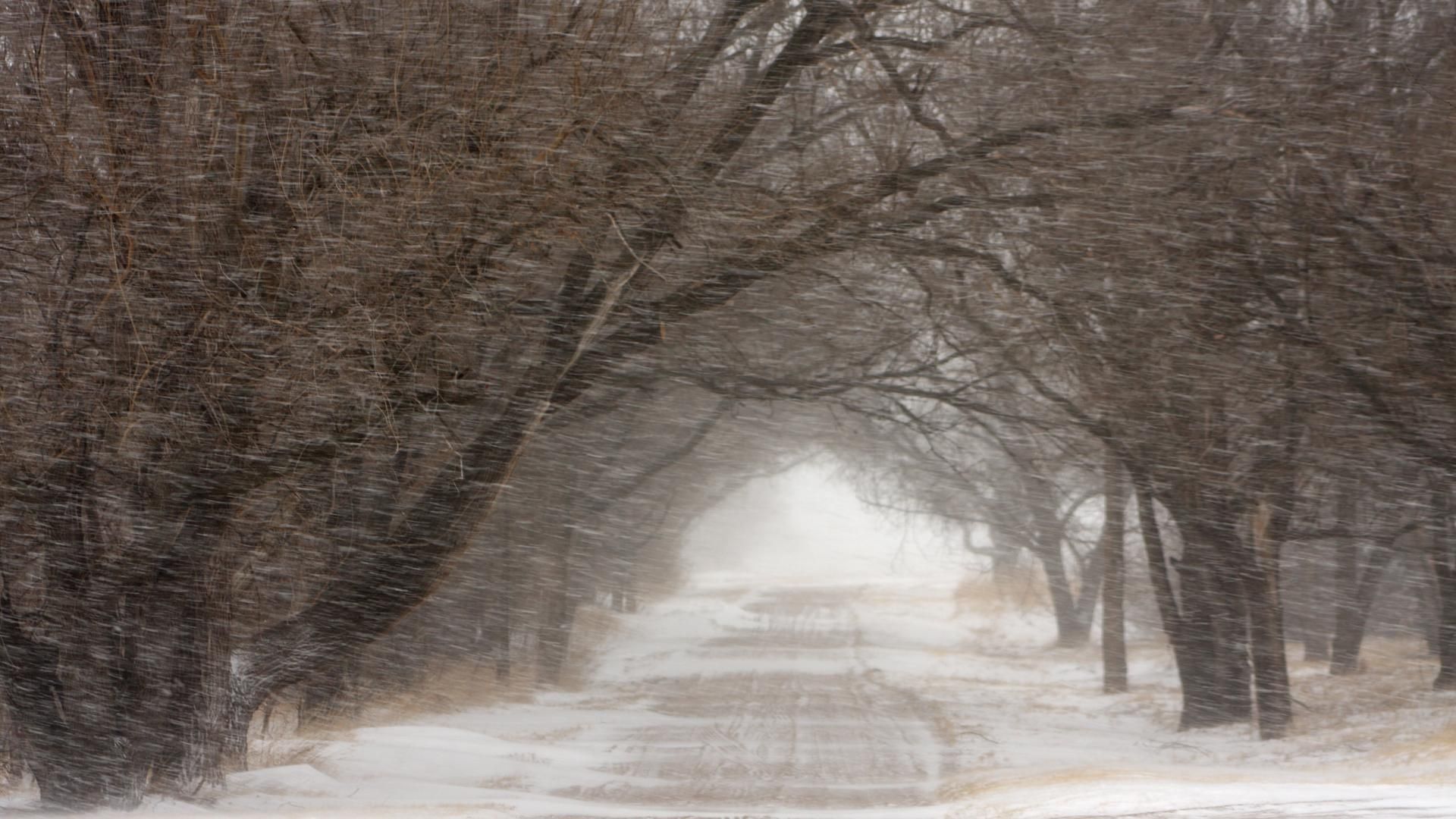 На другий день різдвяних свят українцям обіцяють хуртовини На другий день різдвяних свят українцям обіцяють хуртовини