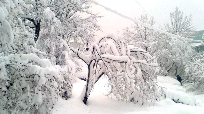 Украину засыпает снегом: более сотни населенных пунктов осталась без света