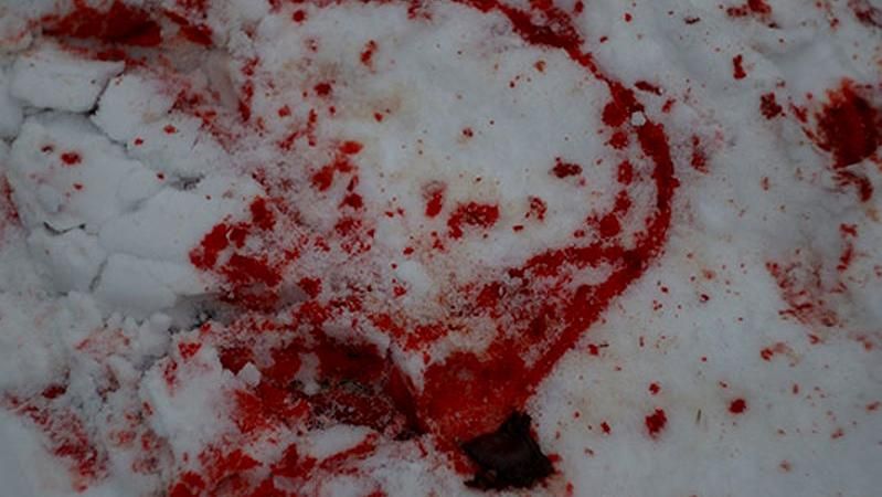 Жінка розбила голову дитині, яка штовхнула візочок з малюком Жінка розбила голову дитині, яка штовхнула візочок з малюком