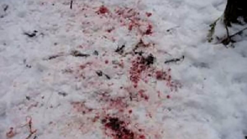 Кто виноват, что бойцы становятся участниками криминальных разборок? Ваше мнение Кто виноват, что бойцы становятся участниками криминальных разборок? Ваше мнение