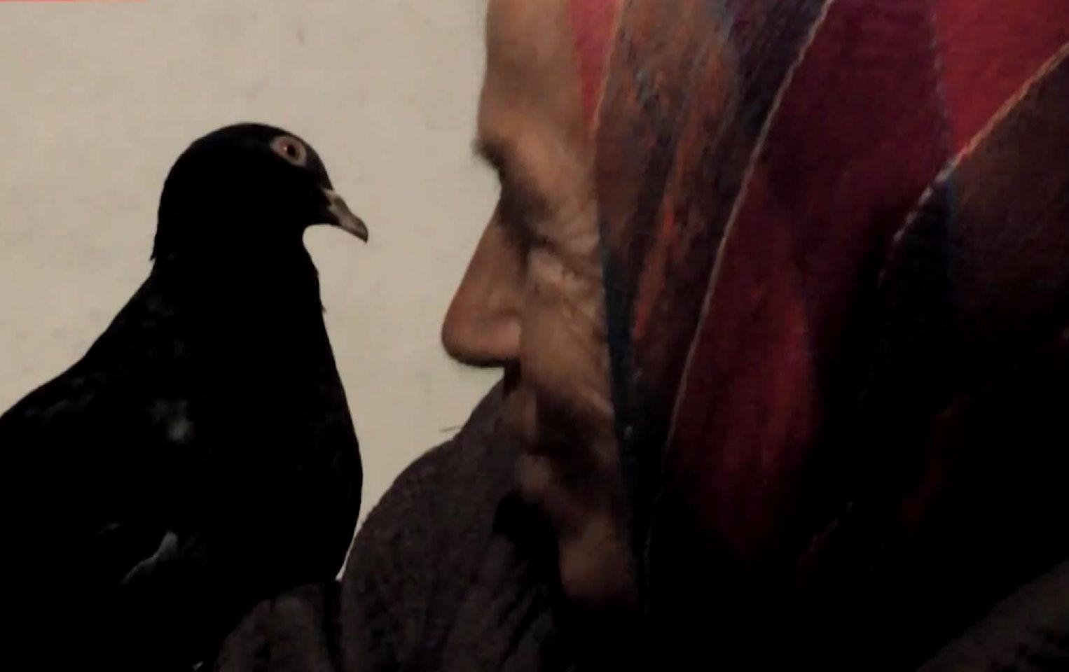 Страшные реалии Украины: история бабушки, которая живет возле донецкого аэропорта