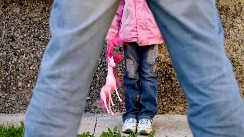 Педофил набросился на 13-летнюю девочку в Харьковской области Педофил набросился на 13-летнюю девочку в Харьковской области