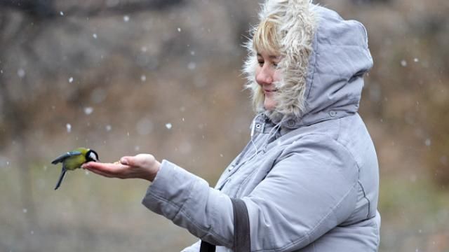 В Украину возвращается непогода: прогнозируют метель и мороз