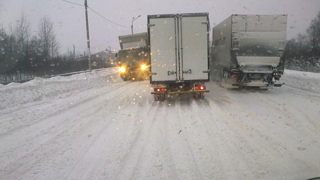 Київщину засипає снігом: знеструмлені села, аварії на дорогах