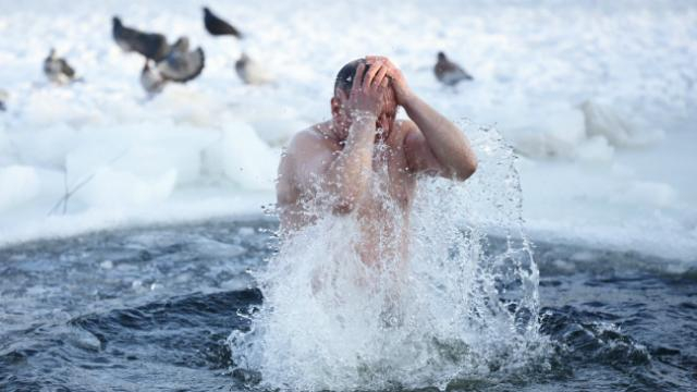 Топ-новости: как украинцы моржевали " на Крещение, Евросоюз не хочет меда из Украины Топ-новости: как украинцы моржевали " на Крещение, Евросоюз не хочет меда из Украины