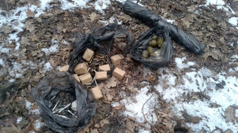 Гранати, гранатомет і сотні патронів: як виглядає арсенал, схований у дереві Гранати, гранатомет і сотні патронів: як виглядає арсенал, схований у дереві