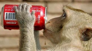 Coca-Cola страдает от массового троллинга интернет-пользователей