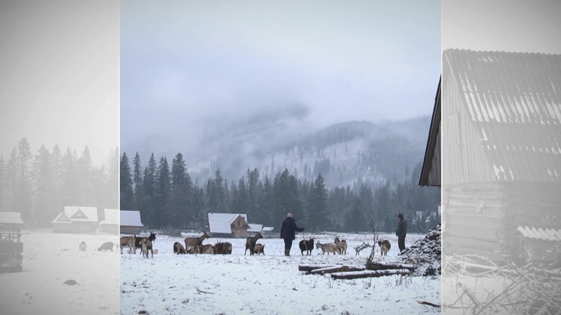 Як забуте село у Польщі перетворилося на туристичну мекку Як забуте село у Польщі перетворилося на туристичну мекку