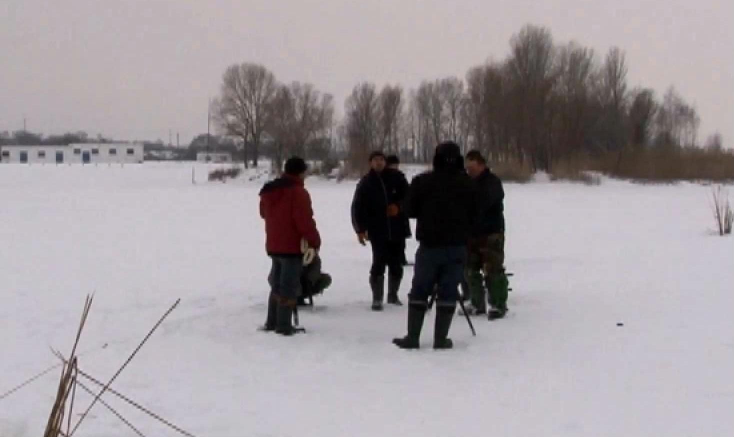Как экологи спасают рыбу в Черкассах Как экологи спасают рыбу в Черкассах