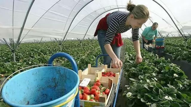 Цифра дня: Скільки грошей пересилають в Україну заробітчани з Польщі Цифра дня: Скільки грошей пересилають в Україну заробітчани з Польщі