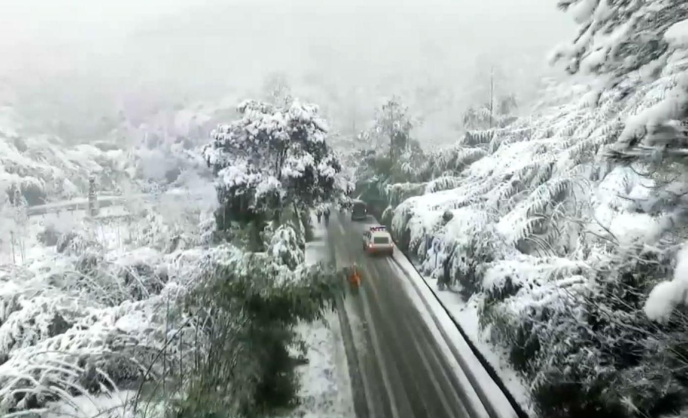 В Японии произошла природная аномалия, есть жертвы В Японии произошла природная аномалия, есть жертвы