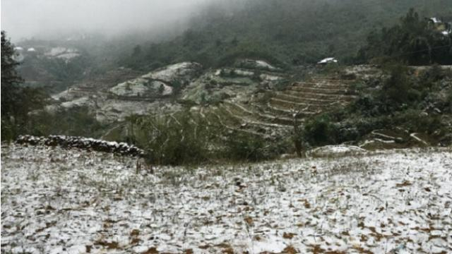 Аномальные морозы в Восточной Азии: погибли десятки людей