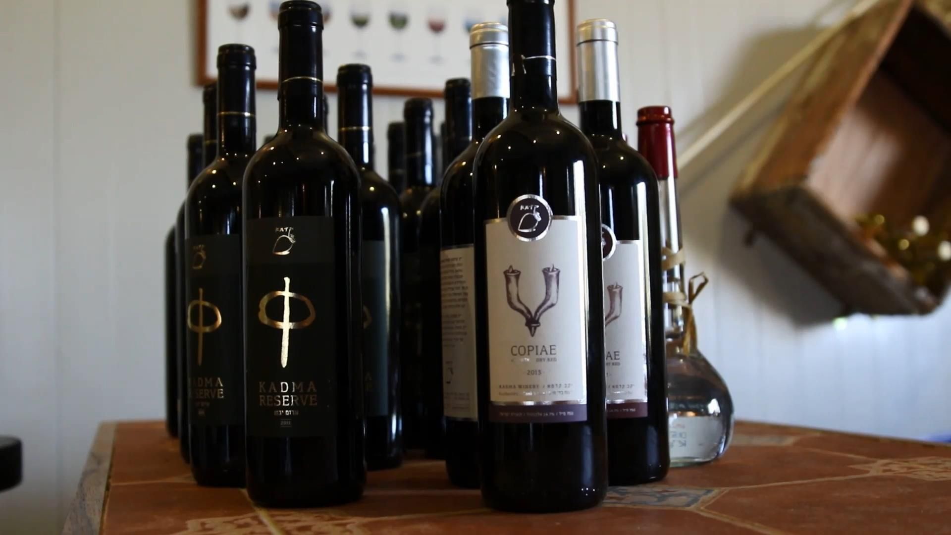 Секреты изготовления израильских вин Секреты изготовления израильских вин