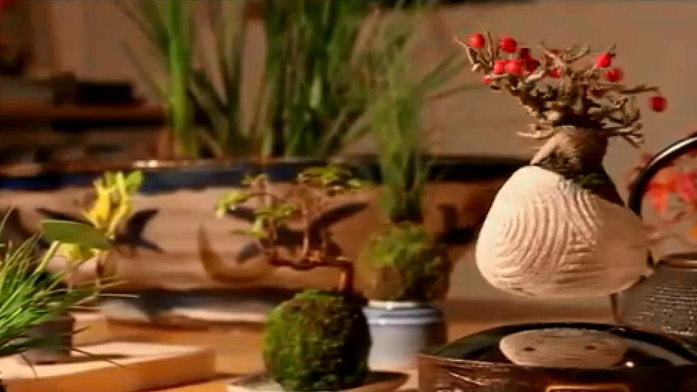 Деревья "научили" летать, известную головоломку можно решить за одну секунду Деревья "научили" летать, известную головоломку можно решить за одну секунду