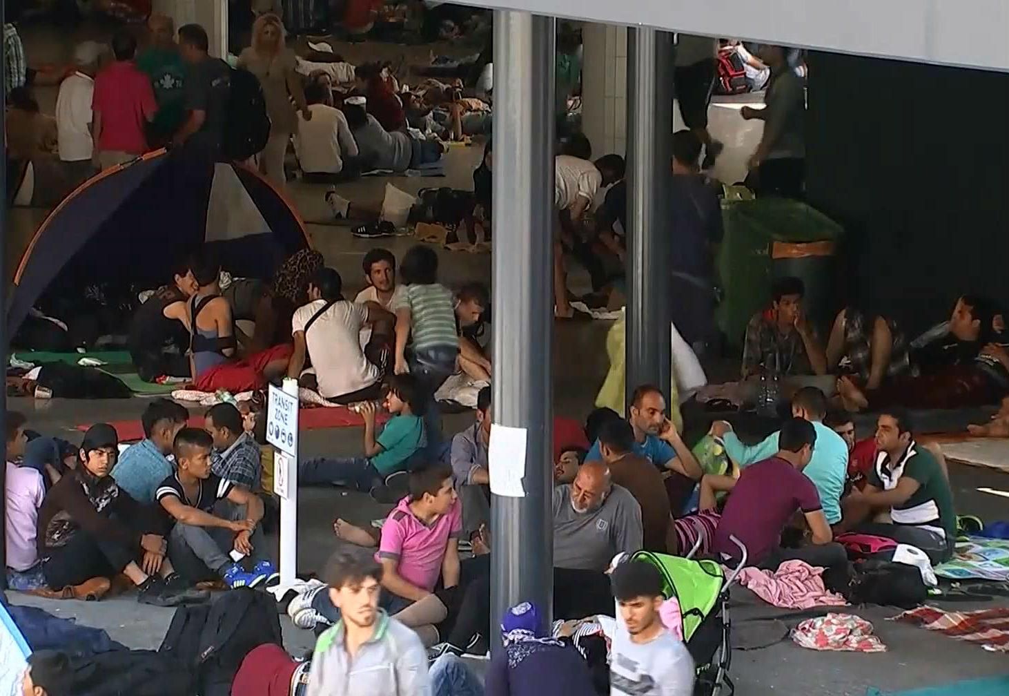 Данія запровадила жорсткі правила для біженців Данія запровадила жорсткі правила для біженців