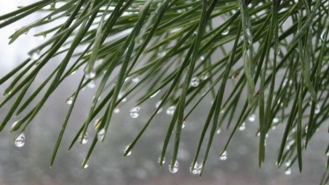 В Україні майже весна – теплішатиме й далі В Україні майже весна – теплішатиме й далі