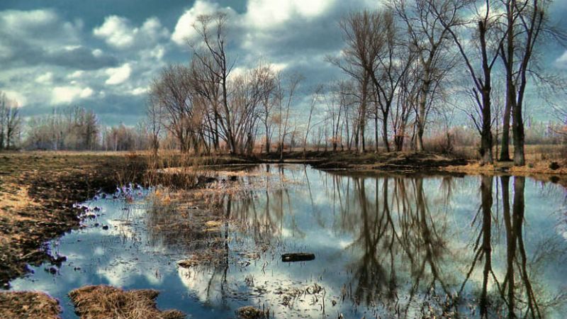 Українців попередили про аномально теплий лютий Українців попередили про аномально теплий лютий