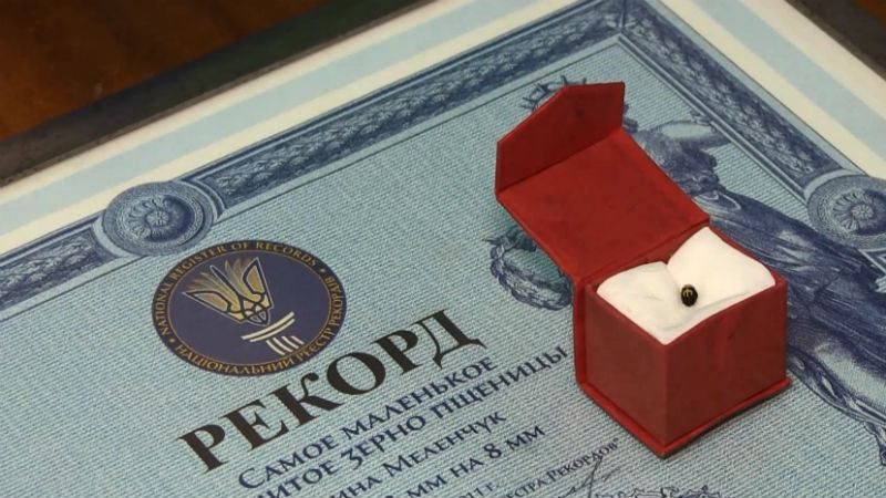 Украинка вышила герб и флаг на крошечном семени Украинка вышила герб и флаг на крошечном семени