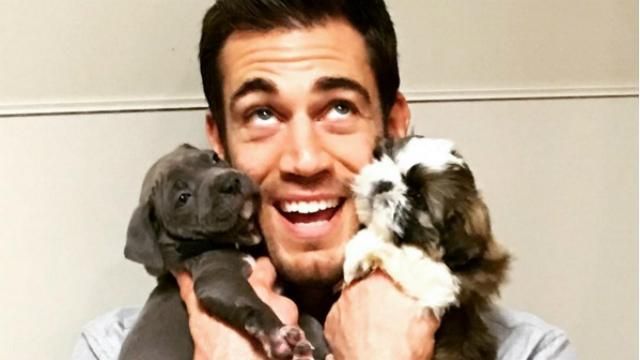 Звабливий ветеринар став новою зіркою мережі Звабливий ветеринар став новою зіркою мережі