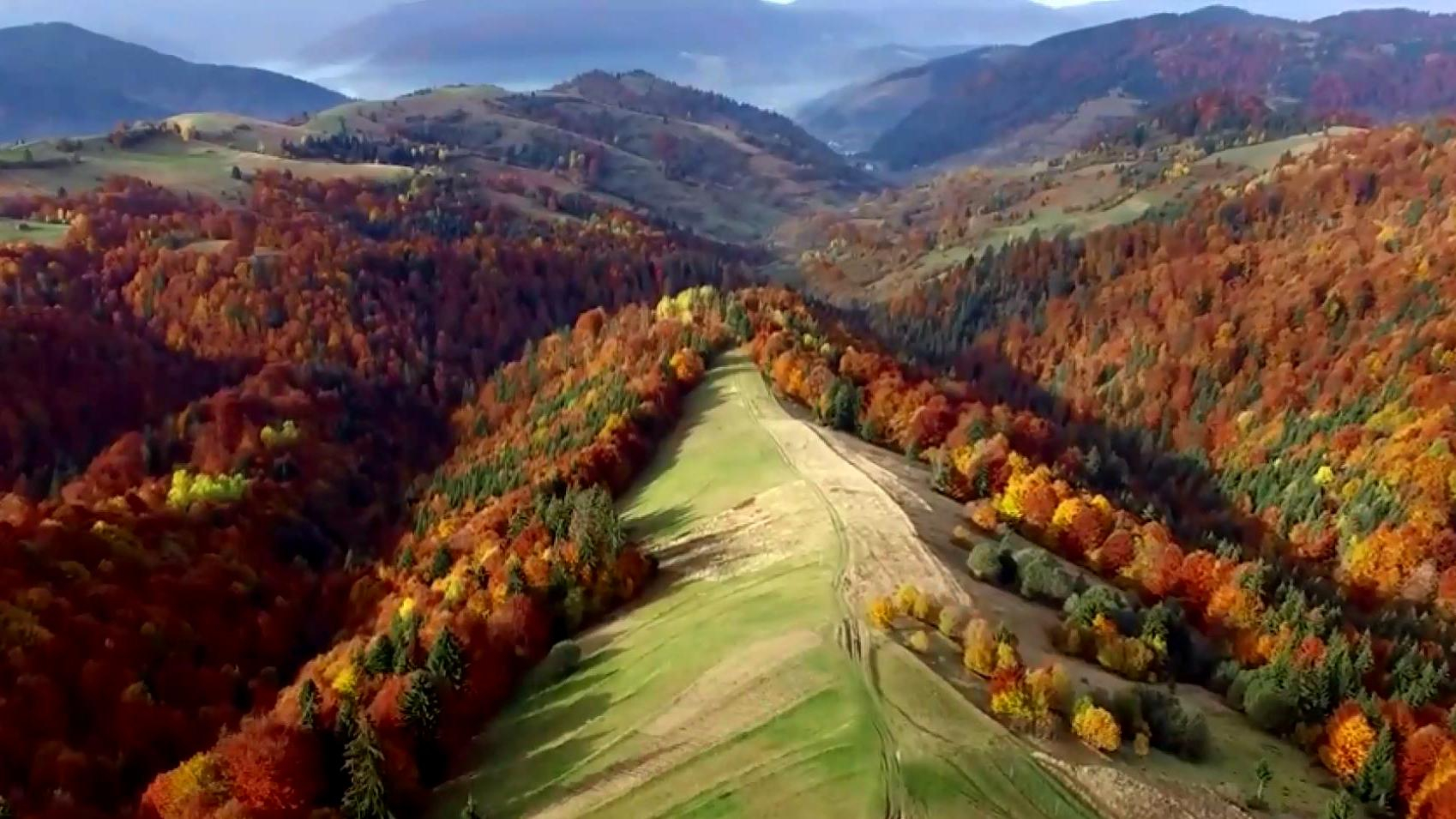 Украинцы выбрали наиболее уникальные природные достопримечательности Карпат