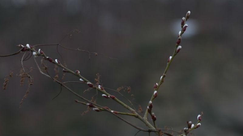 Завтра в Україні ще тепліше Завтра в Україні ще тепліше