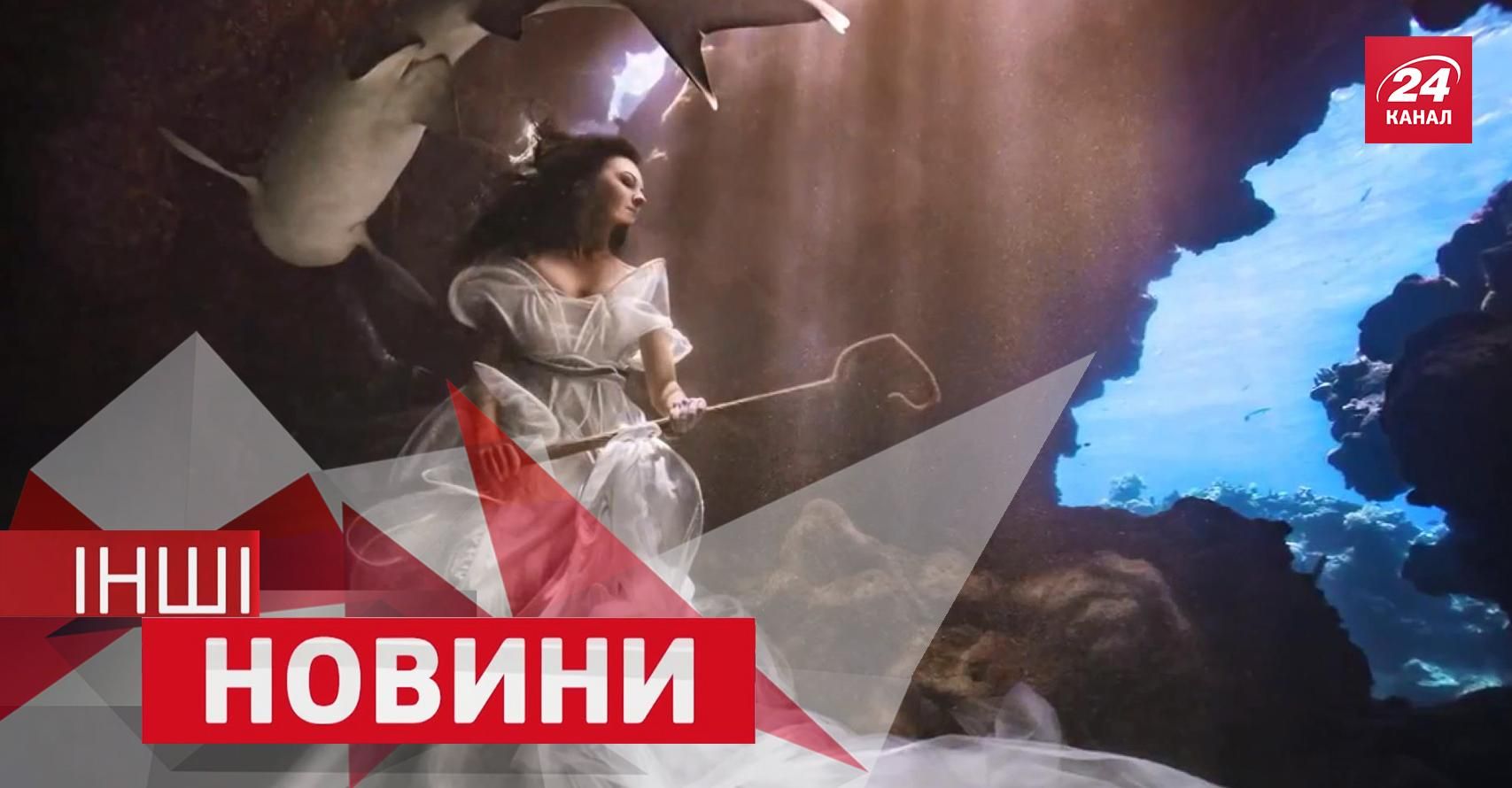 ІНШІ новини. Що показала камера на спині сокола, навіщо дівчина стала пастушкою акул ІНШІ новини. Що показала камера на спині сокола, навіщо дівчина стала пастушкою акул