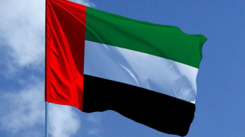 ОАЭ готовы начать наземную операцию в Сирии ОАЭ готовы начать наземную операцию в Сирии