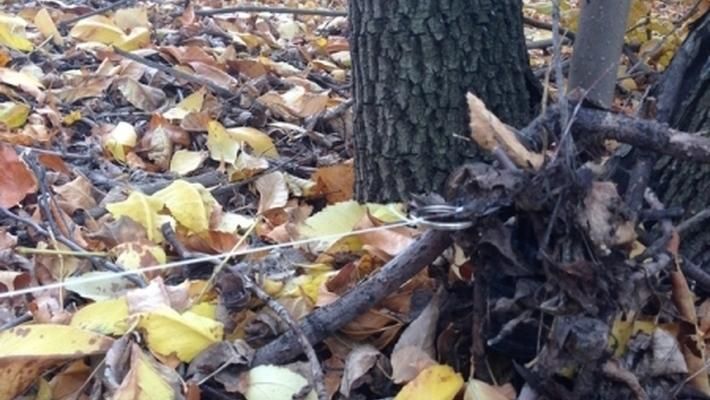 Українські військові підірвались поблизу Донецького аеропорту, є загиблий, — ЗМІ Українські військові підірвались поблизу Донецького аеропорту, є загиблий, — ЗМІ