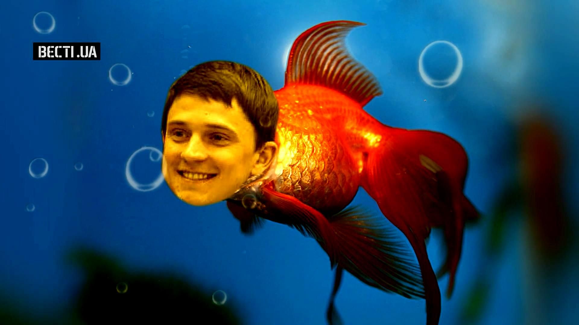 Депутат за полтора года после завершения выборов отблагодарил своих сторонников подарками Депутат за полтора года после завершения выборов отблагодарил своих сторонников подарками